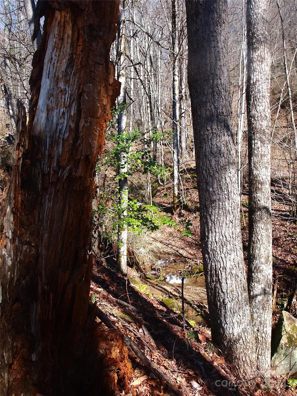 664 Woodfin Road Sylva, NC 28779