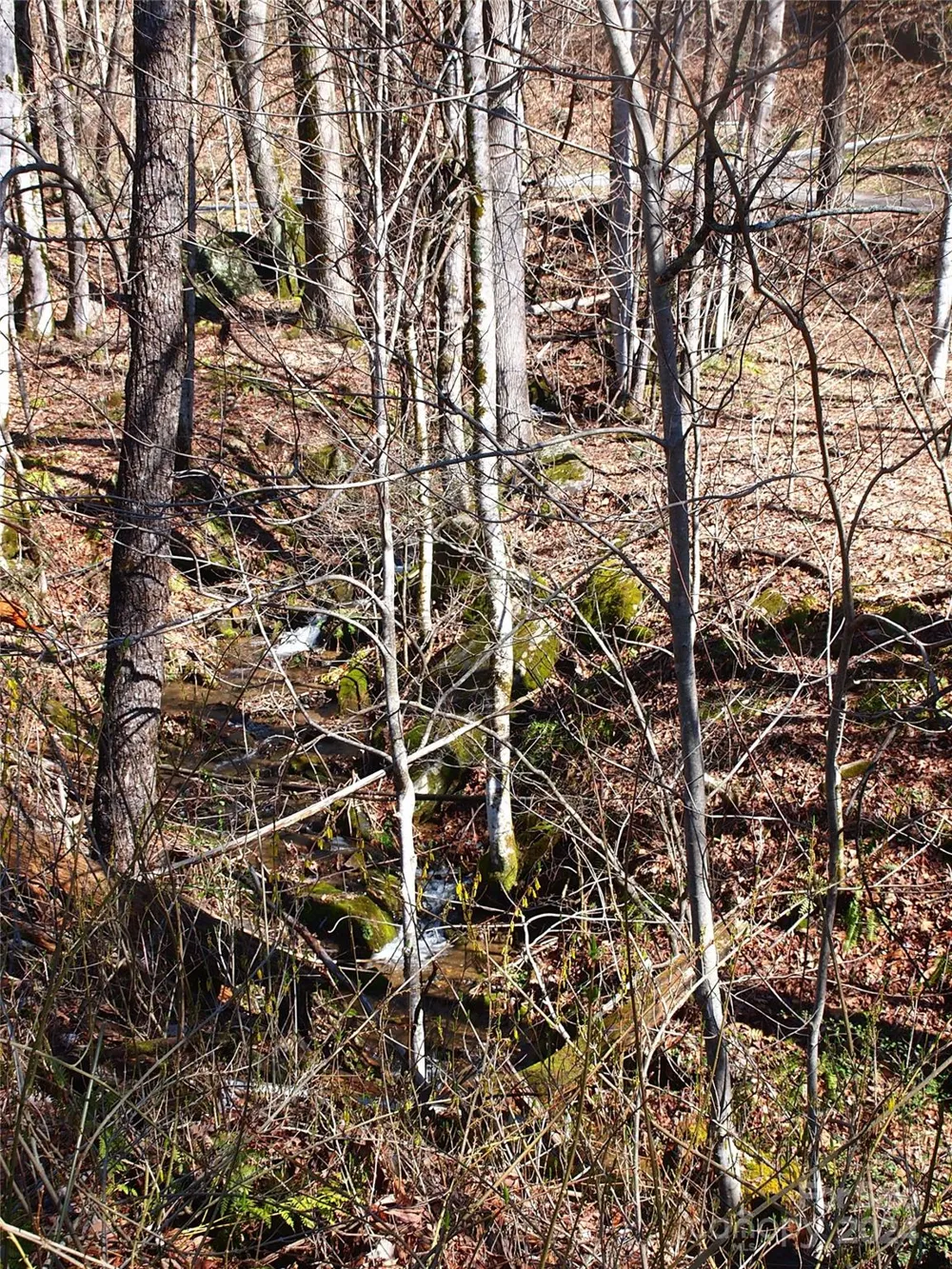 664 Woodfin Road Sylva, NC 28779