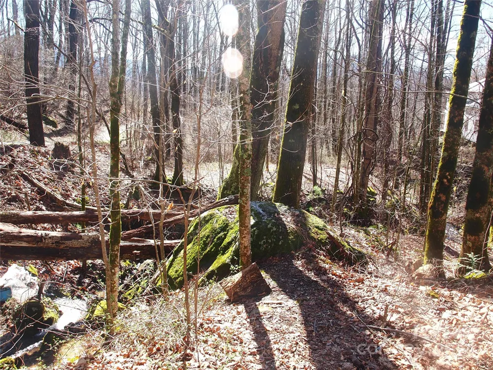664 Woodfin Road Sylva, NC 28779