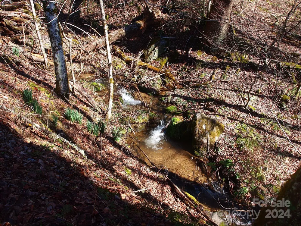 664 Woodfin Road Sylva, NC 28779