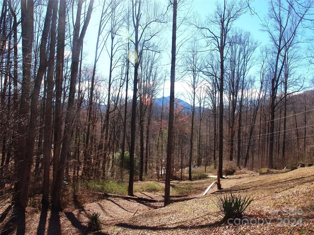 664 Woodfin Road Sylva, NC 28779