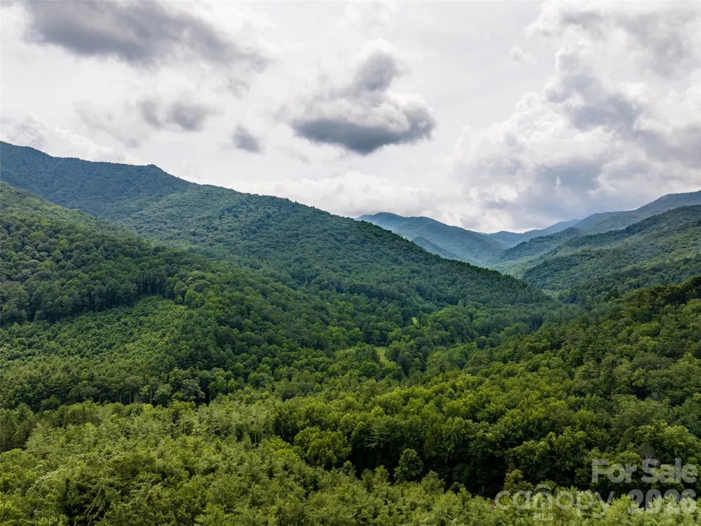 00 Lake Logan Road Canton, NC 28716