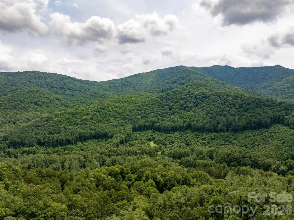 00 Lake Logan Road Canton, NC 28716