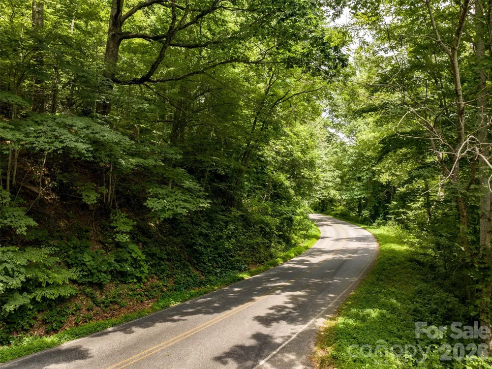00 Lake Logan Road Canton, NC 28716