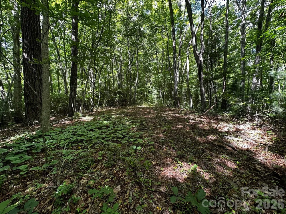 00 Lake Logan Road Canton, NC 28716