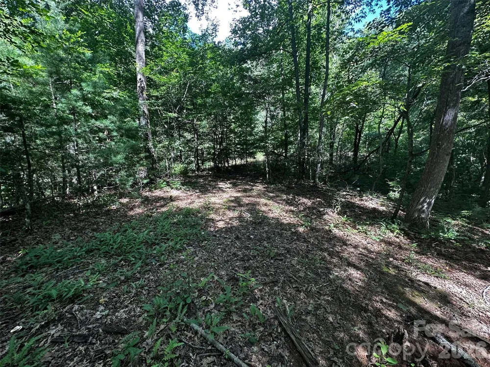 00 Lake Logan Road Canton, NC 28716