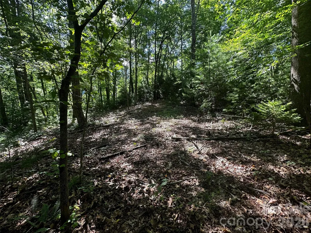 00 Lake Logan Road Canton, NC 28716