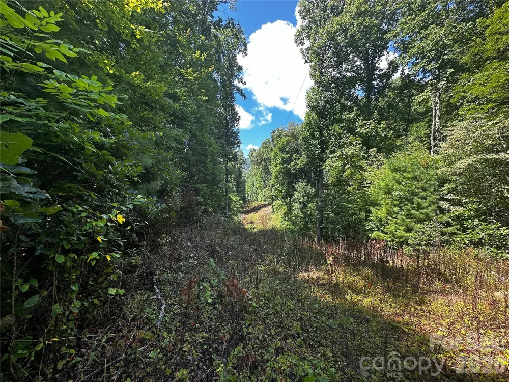 00 Lake Logan Road Canton, NC 28716