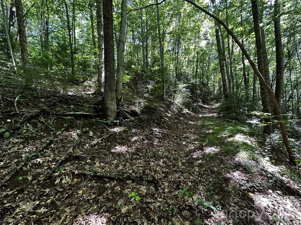 00 Lake Logan Road Canton, NC 28716
