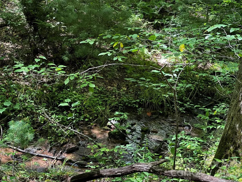 00 Lake Logan Road Canton, NC 28716