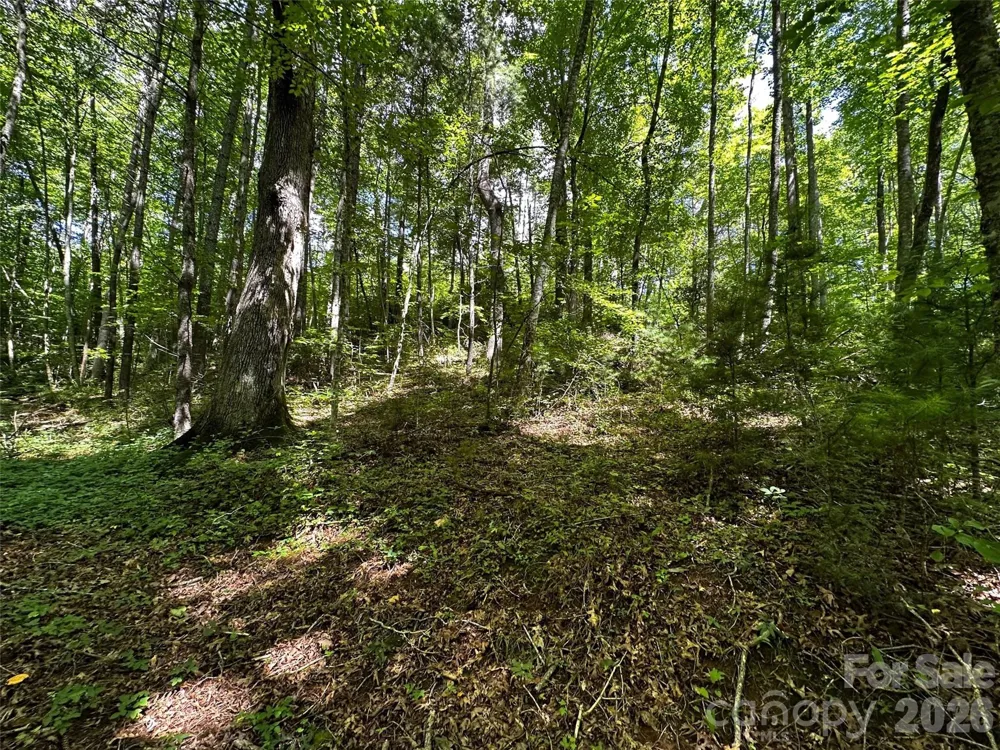 00 Lake Logan Road Canton, NC 28716