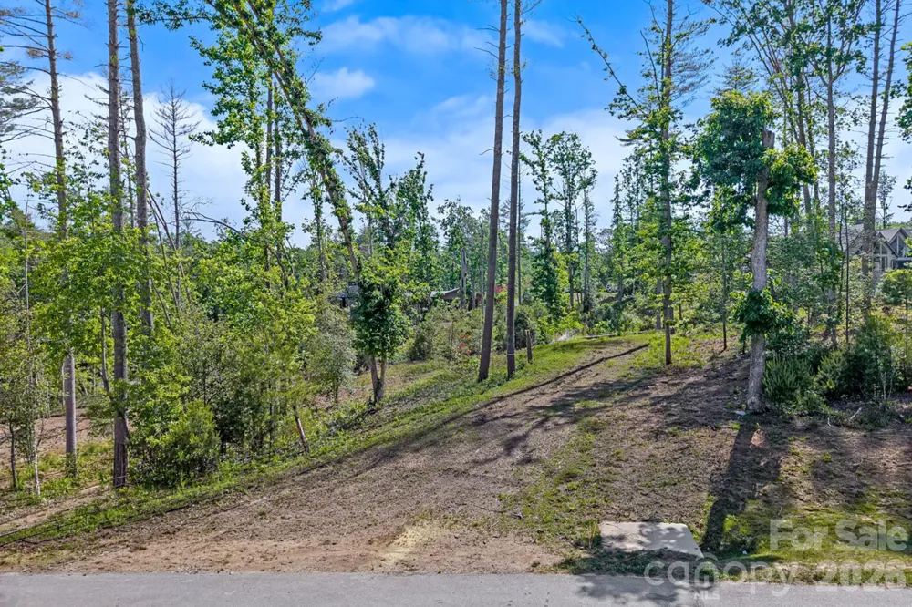 325 Flowering Vine Court Asheville, NC 28803