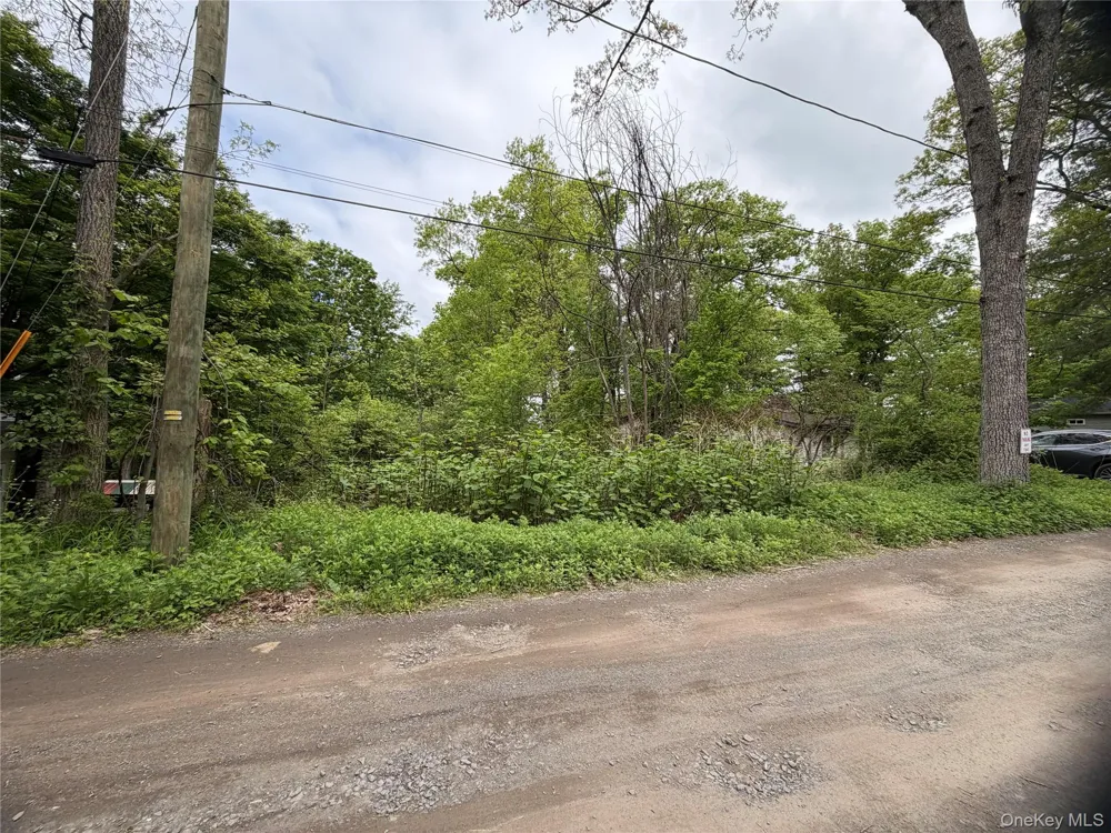 48 Paradise Trail Blooming Grove, NY 10914