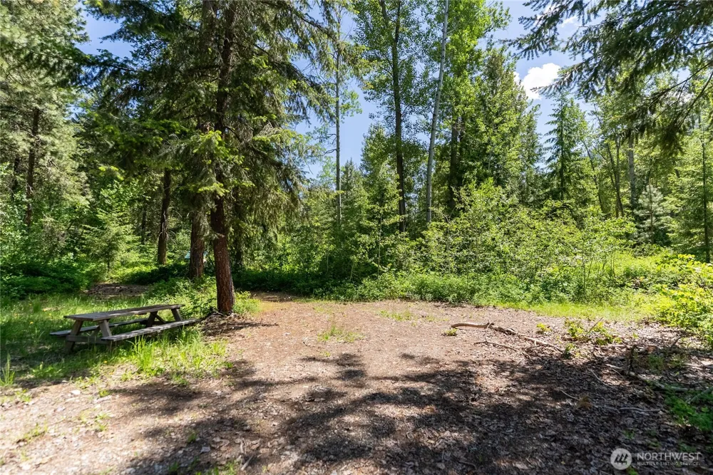 97 TBD Cedarosa Way Mazama, WA 98833