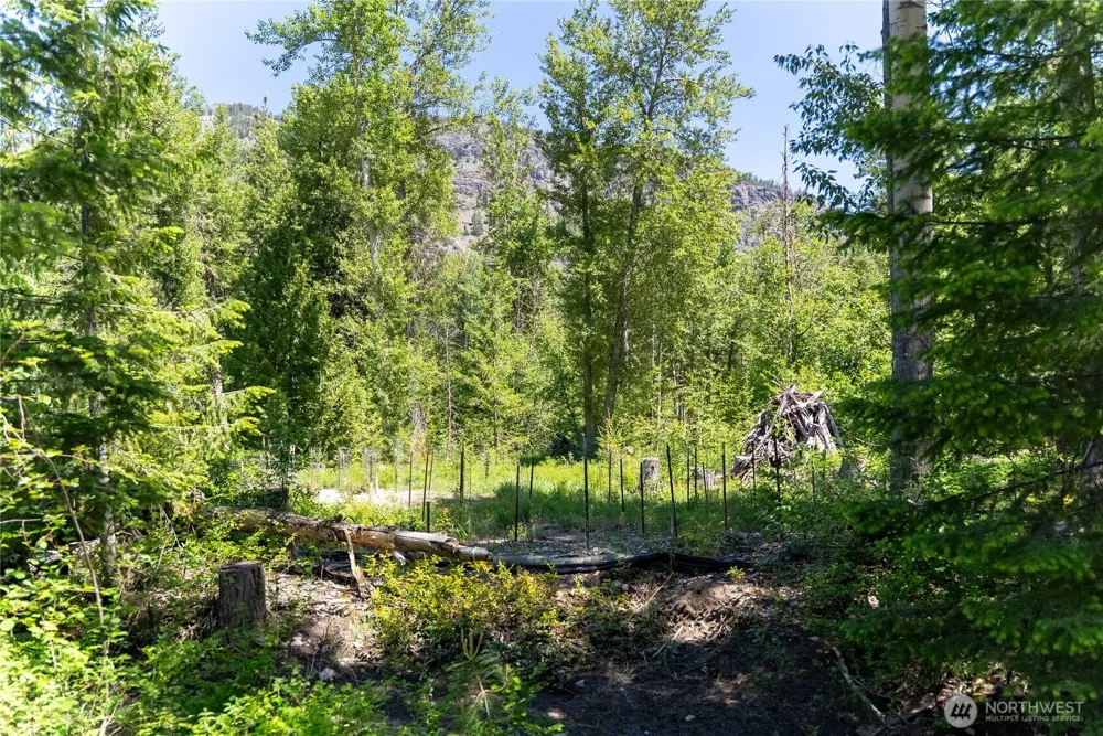 97 TBD Cedarosa Way Mazama, WA 98833