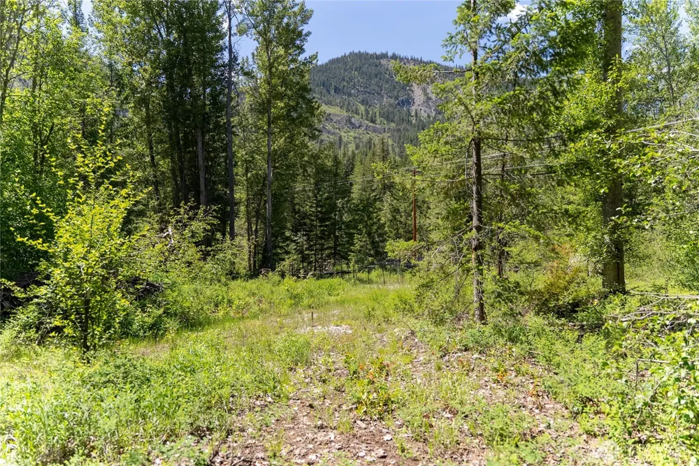 97 TBD Cedarosa Way Mazama, WA 98833