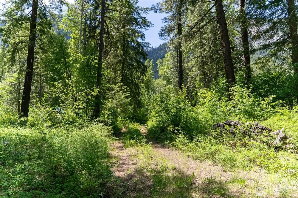 97 TBD Cedarosa Way Mazama, WA 98833
