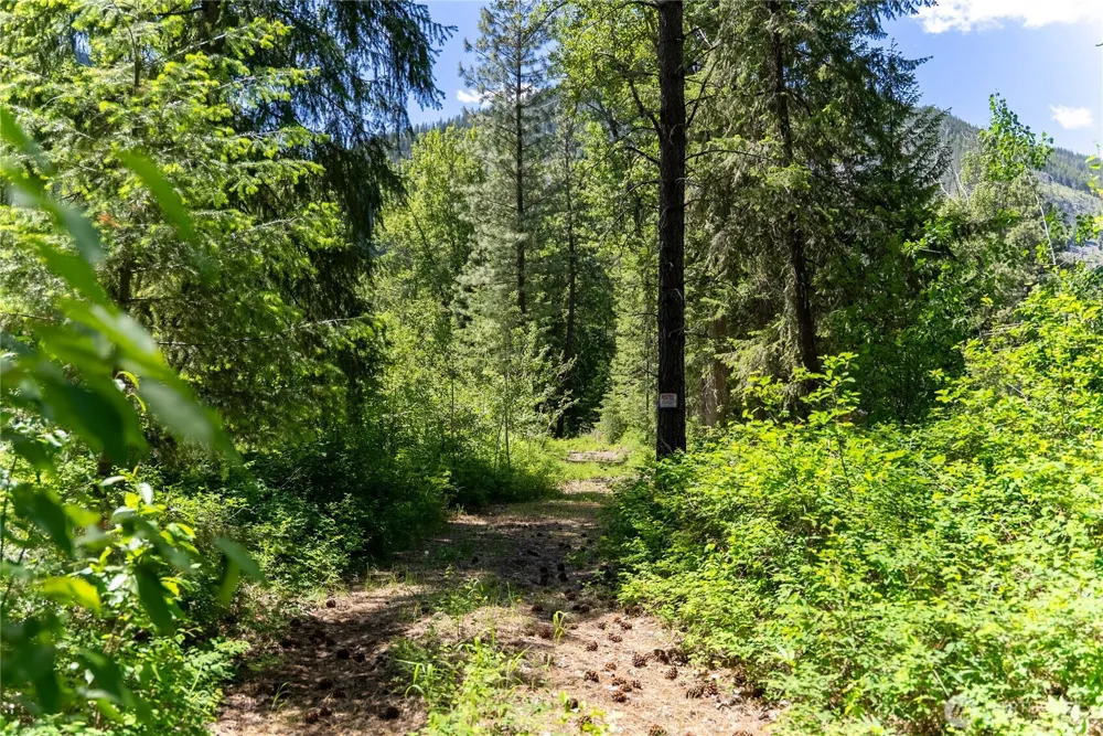 97 TBD Cedarosa Way Mazama, WA 98833