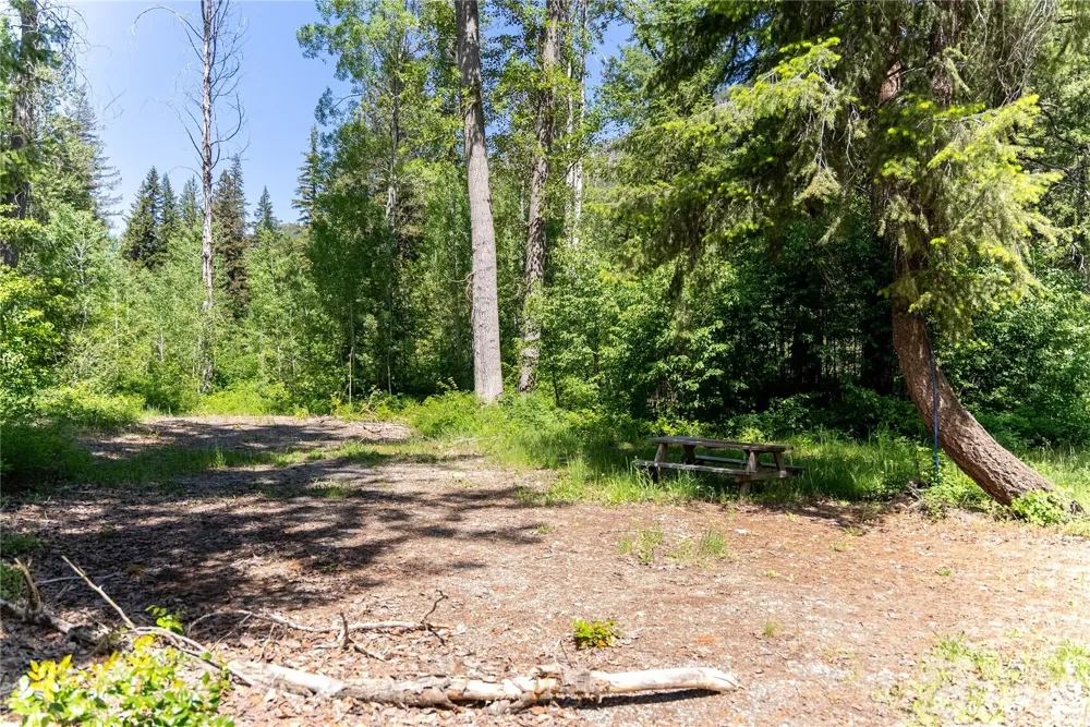 97 TBD Cedarosa Way Mazama, WA 98833