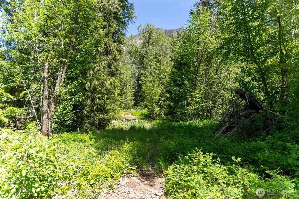 97 TBD Cedarosa Way Mazama, WA 98833