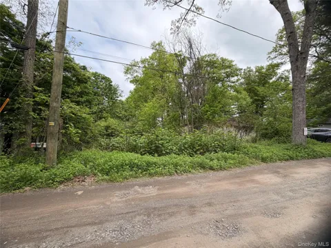48 Paradise Trail