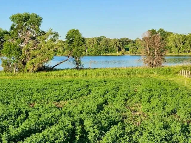 XXXX Co-Rd 108 NW Brandon, MN 56315