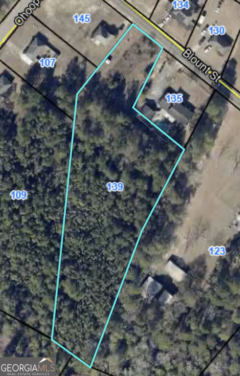 139 Blount ST Reidsville, GA 30453