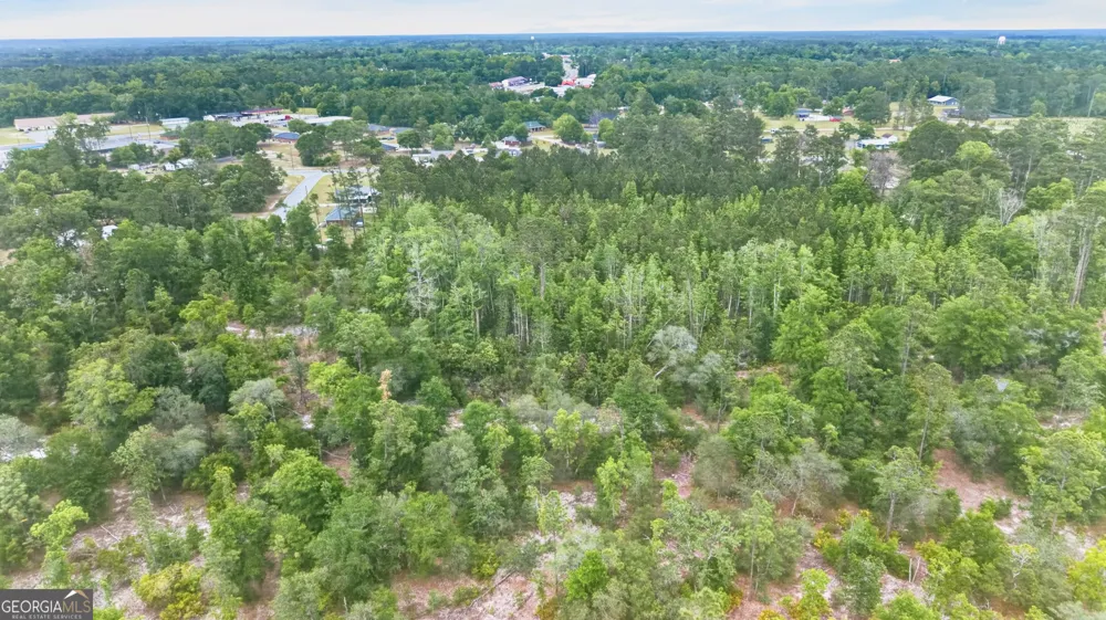 139 Blount ST Reidsville, GA 30453