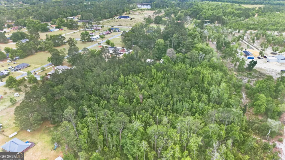 139 Blount ST Reidsville, GA 30453