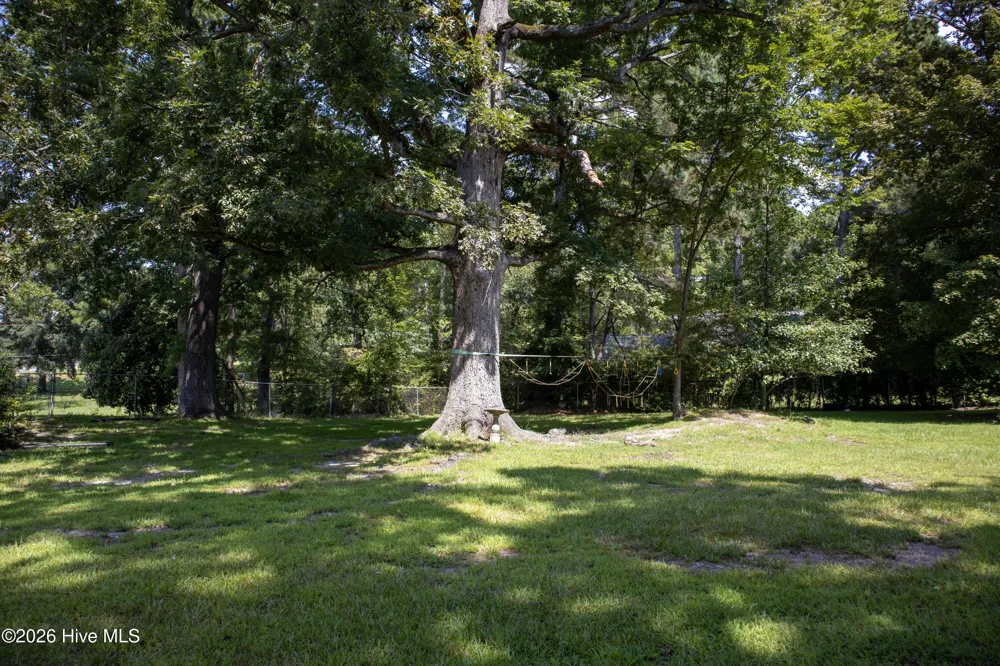 119 Watson Street Enfield, NC 27823