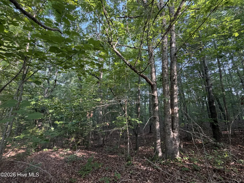 150 Watsons Way Rockingham, NC 28379