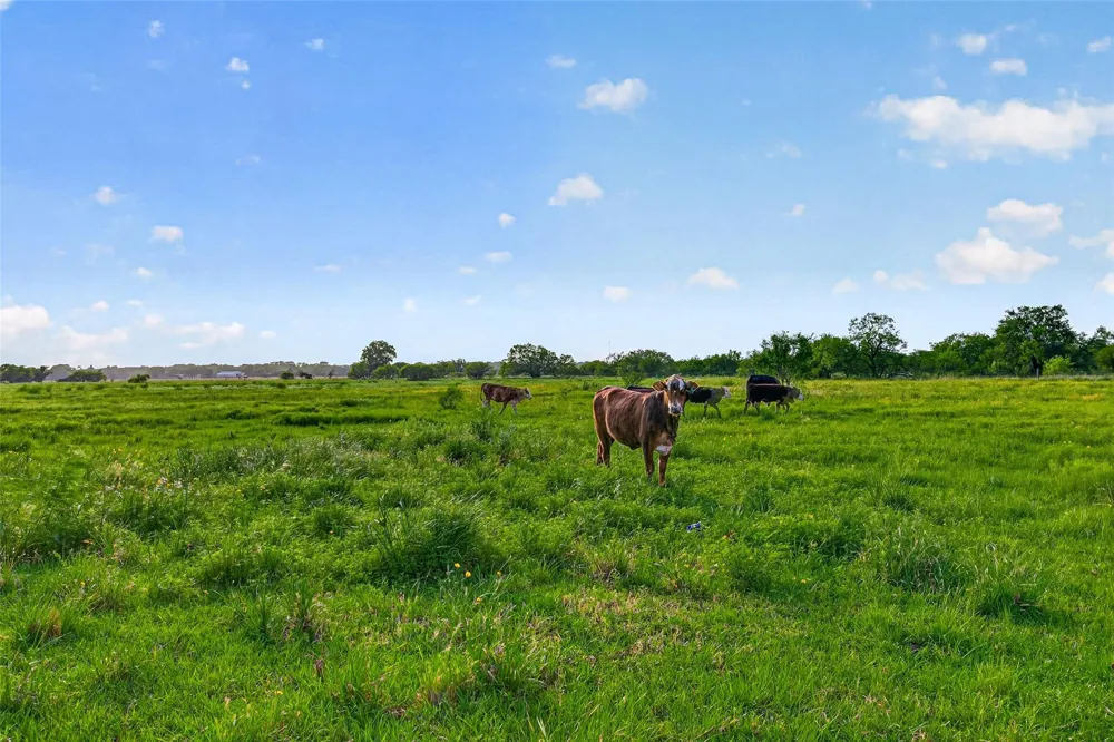 13506 Moody Road Needville, TX 77461