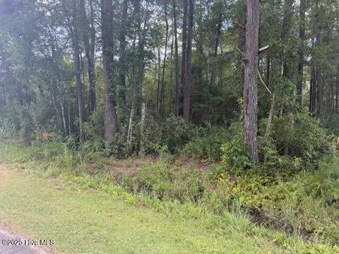 2539 Chauncey Town Road