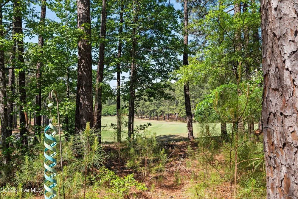 131 Cypress Drive Mccormick, SC 29835