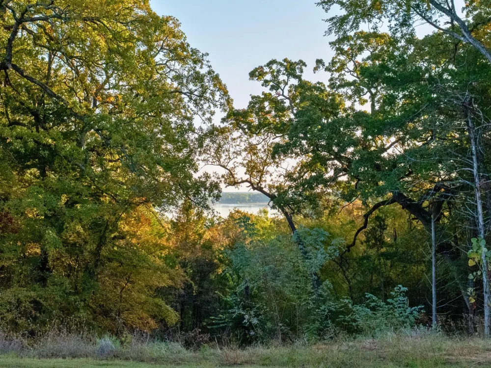 160 Lakeview Court #4 Gordonville, TX 76245