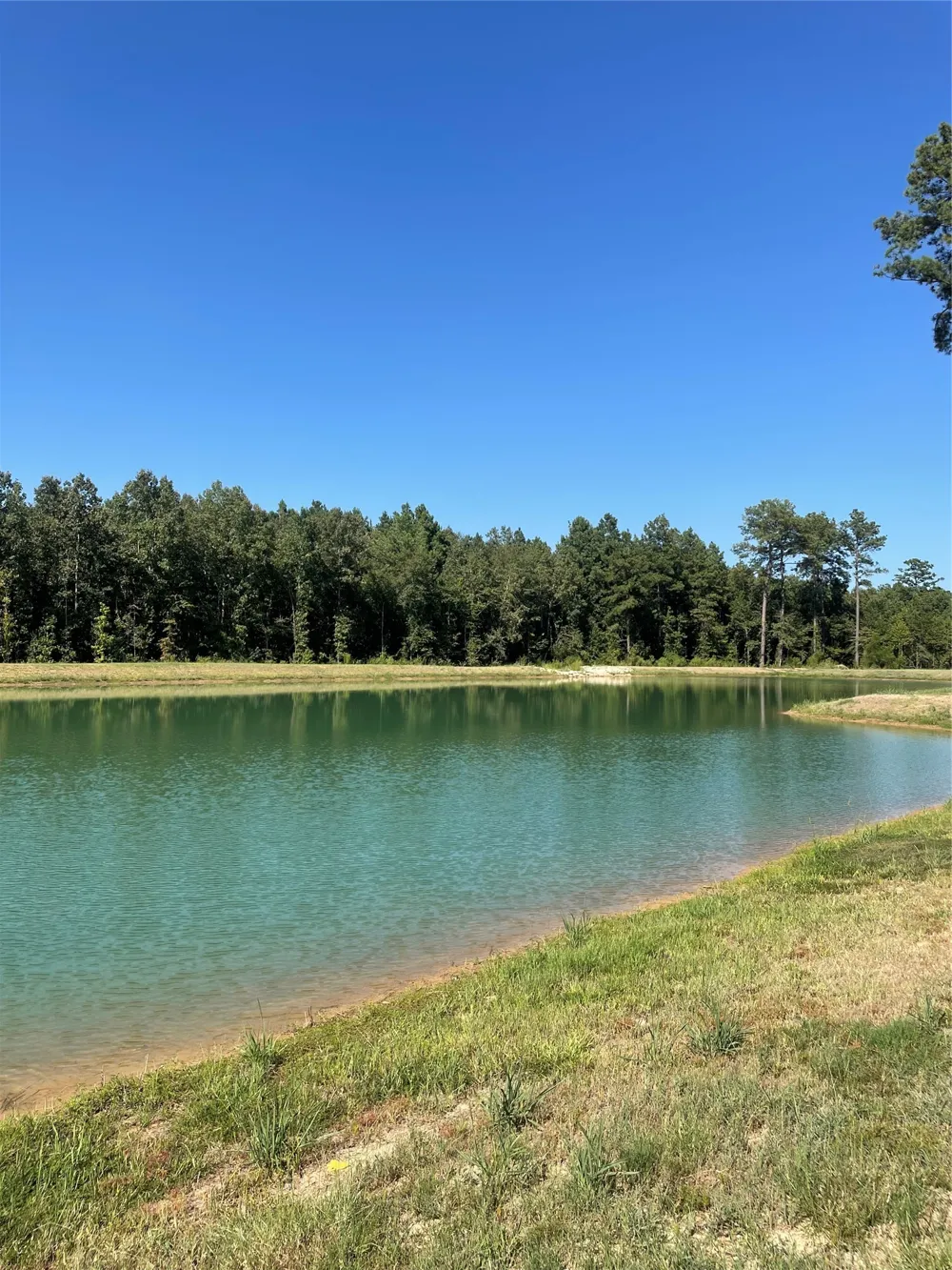 117 Faith Plantation Drive #9 Princeton, LA 71067