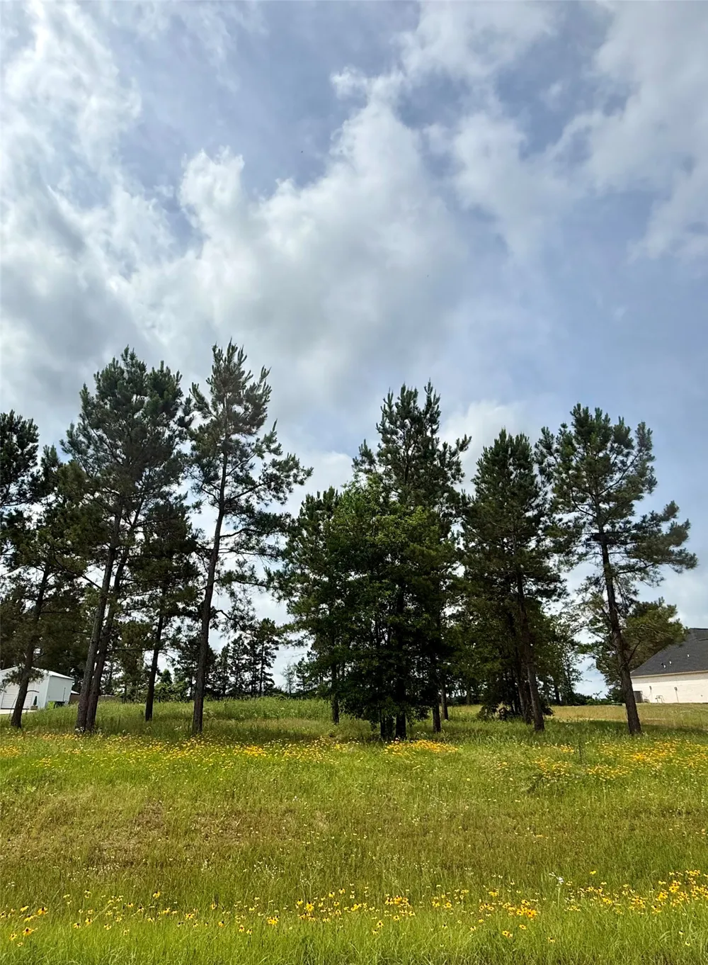 117 Faith Plantation Drive #9 Princeton, LA 71067