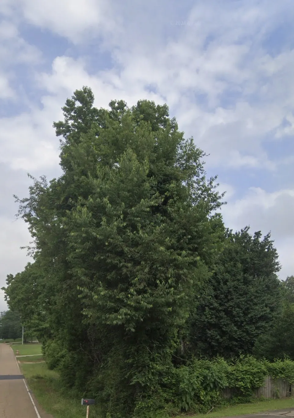 1501 Country Club Circle Minden, LA 71055