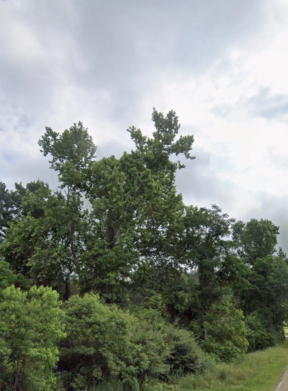 1501 Country Club Circle Minden, LA 71055