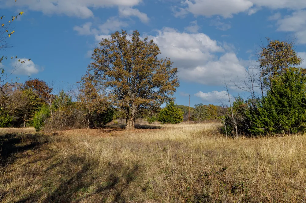 FM 677 St Jo, TX 76265