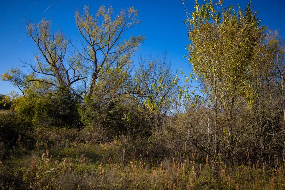 FM 677 St Jo, TX 76265