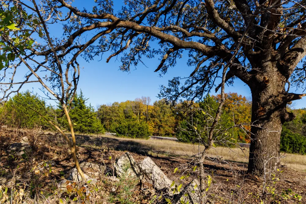 FM 677 St Jo, TX 76265