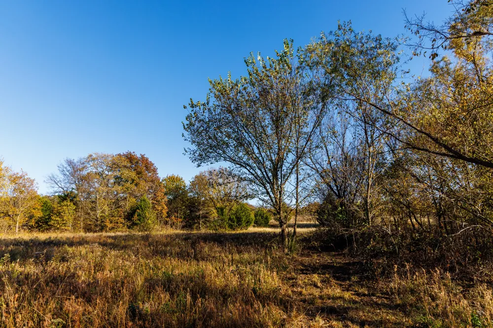 FM 677 St Jo, TX 76265