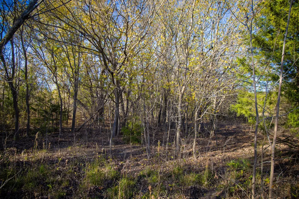 FM 677 St Jo, TX 76265
