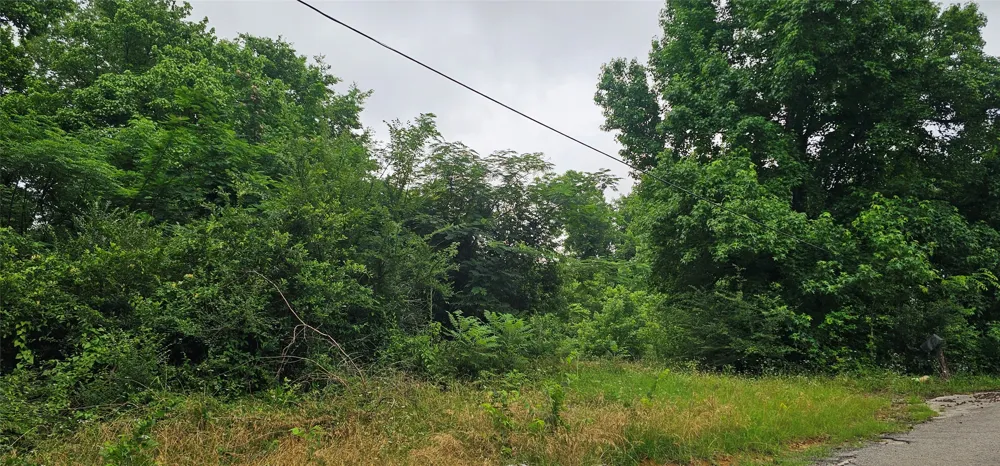 618 Oleander Street Grand Saline, TX 75140
