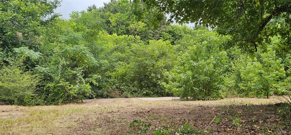 618 Oleander Street Grand Saline, TX 75140