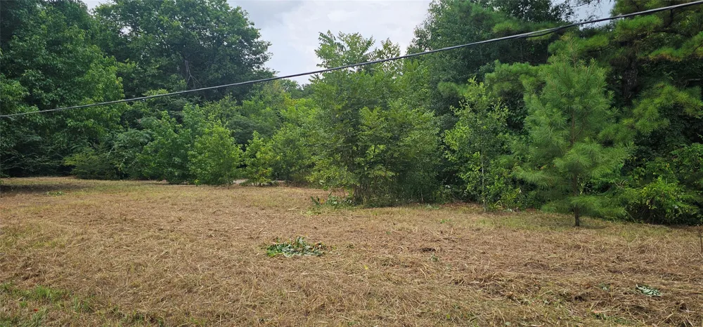 618 Oleander Street Grand Saline, TX 75140
