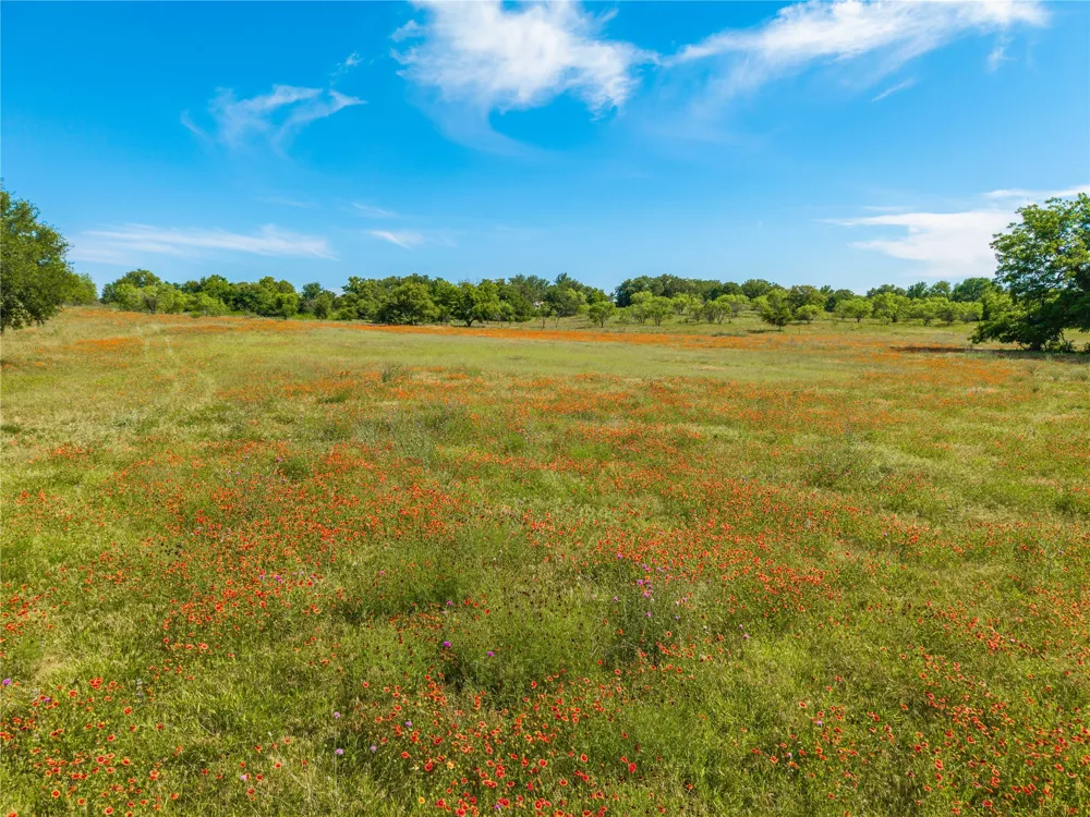 92 County Road 434 De Leon, TX 76446