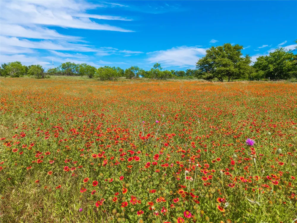 92 County Road 434 De Leon, TX 76446