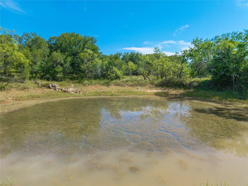 92 County Road 434 De Leon, TX 76446
